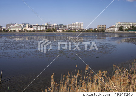 Yatsu tidal flat Yatsu tidal flat 49148249