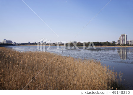 Yatsu tidal flat Yatsu tidal flat 49148250