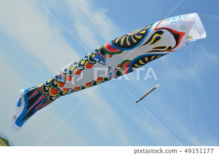 Jumbo Koinobori(Tonegawa Riverside Green Park /埼玉加賀市) Jumbo Koinobori(Tonegawa Riverside Green Park /埼玉加賀市) 49151177
