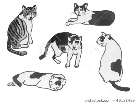 Cat watercolor 49151459