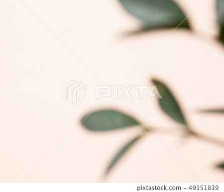 分散注意力 分散注意力 49151819