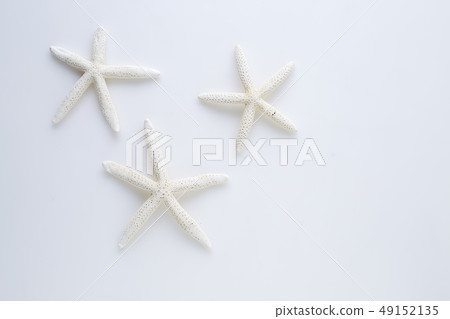 star fish on white background star fish on white background 49152135
