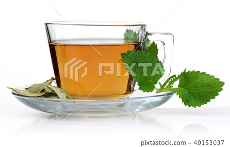 Melissa tea in a glass cup with lemon balm leaves 49153037