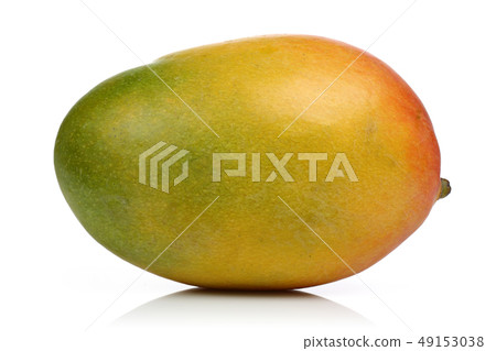 Fresh Mango fruit isolated on white 49153038