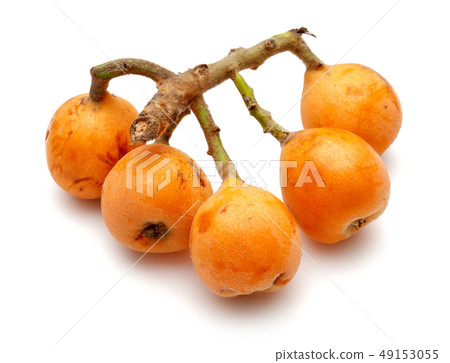 Ripe loquat fruits isolated on white 49153055