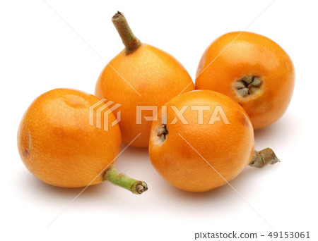 Ripe loquat fruits isolated on white 49153061