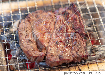 Charcoal-grilled grilled chicken / grilled meat _ (one person charcoal grilled (grilled grilled, grilled grilled rice), one person, home drinking, barbecue, BBQ, grilled meat 49153153