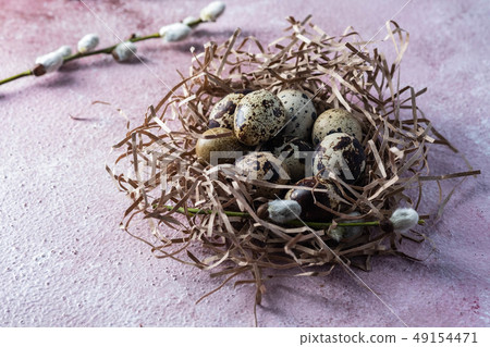 Quail eggs easter. On the pink background. Free copy space. Quail eggs easter. On the pink background. Free copy space. 49154471