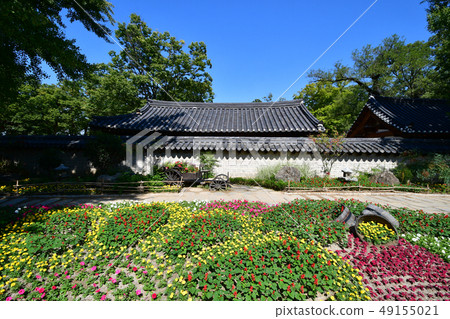 Jeonju Hanok Village Flower field of stone wall before game 49155021