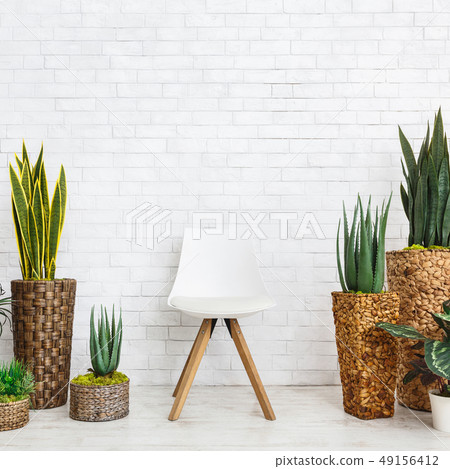 Botanical home decor concept 49156412