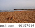 Indian Ocean Sandy Beach Sri Lanka 49157916
