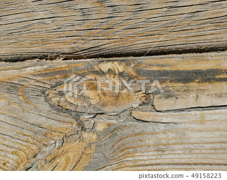 Wood texture background. 49158223