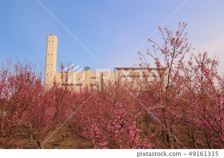 Osaki Office, Waste Disposal Site 49161315