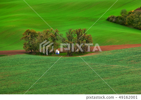 Famous moravian fields - Czech Republic Famous moravian fields - Czech Republic 49162001