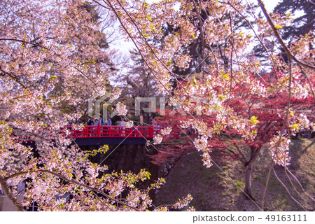 青森弘前城堡櫻花紅橋Shimodori橋 49163111