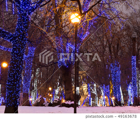 Trees illuminated to Christmas and New Year Trees illuminated to Christmas and New Year 49163678