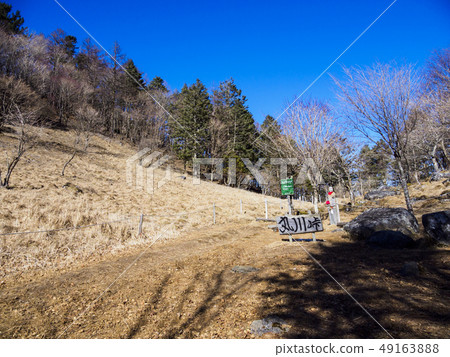 Daisuke Marugawa Akira 49163888