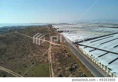 Lot of polythene hothouses 49163909