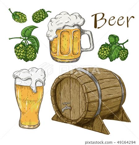 Sketches of hop plant, wood barrel and beer mugs Sketches of hop plant, wood barrel and beer mugs 49164294