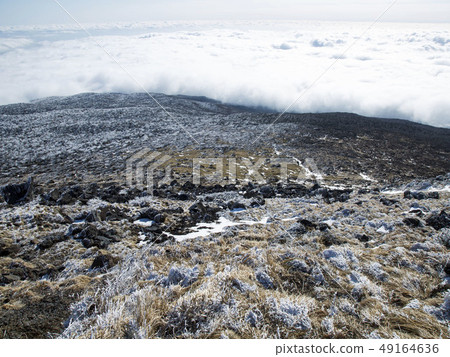 Halla Mountain, Sanghyo-dong, Seogwipo-si, Jeju-do Halla Mountain, Sanghyo-dong, Seogwipo-si, Jeju-do 49164636