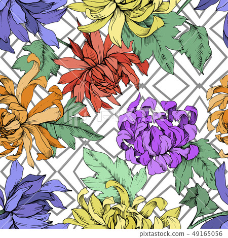 Vector Chrysanthemum floral botanical flowers. Engraved ink art. Seamless background pattern. 49165056