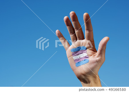 transgender flag in the palm of the hand. 49166580