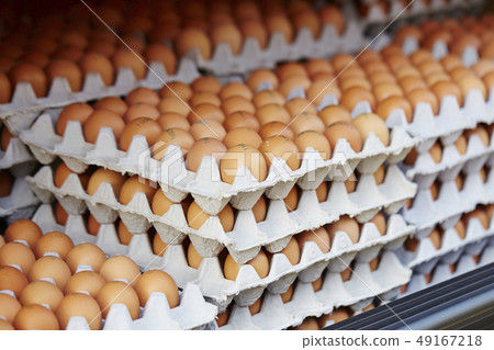Chicken eggs 49167218