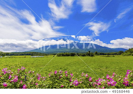 Iwateyama Hachimantai hot spring from summer Iwateyama Hachimantai hot spring from summer 49168446