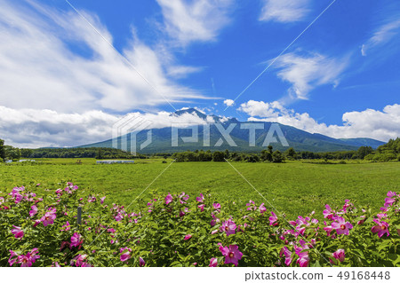 Iwateyama Hachimantai hot spring from summer Iwateyama Hachimantai hot spring from summer 49168448