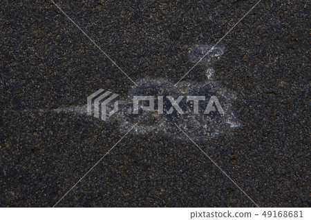 圖片魚由自然製成 49168681