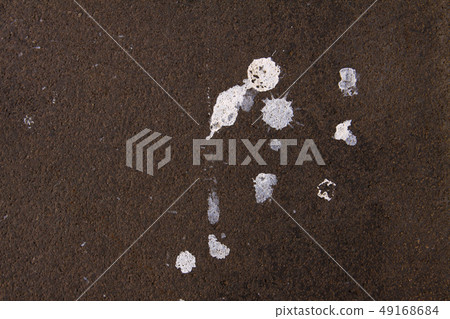 Picture traces created by nature Picture traces created by nature 49168684