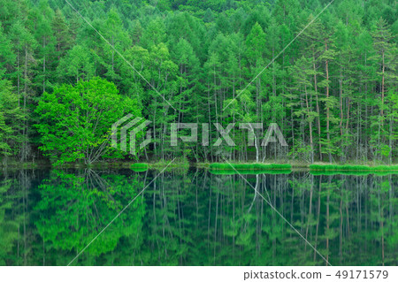 Nagano _ fresh green echoes _ shooting pond 49171579
