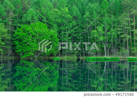 Nagano _ fresh green echoes _ shooting pond 49171580