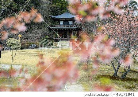 Sōkaiji Temple Sōkaiji Temple 49171941