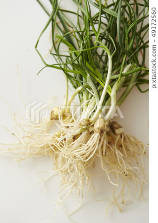 春天野花野生荒野 49172560