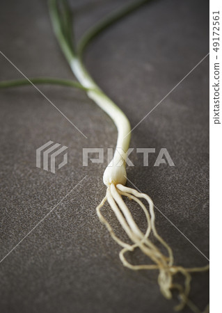 stretch, elastic, grow 49172561