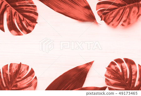 Creative botanical background concept 49173465