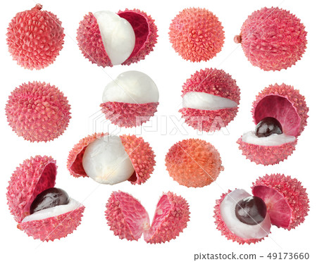 Collection of isolated whole and cut lychee fruits Collection of isolated whole and cut lychee fruits 49173660