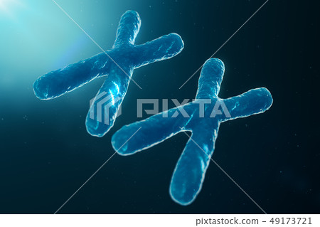 XX-Chromosomes with DNA carrying the genetic code. Genetics concept, medicine concept. Future XX-Chromosomes with DNA carrying the genetic code. Genetics concept, medicine concept. Future 49173721