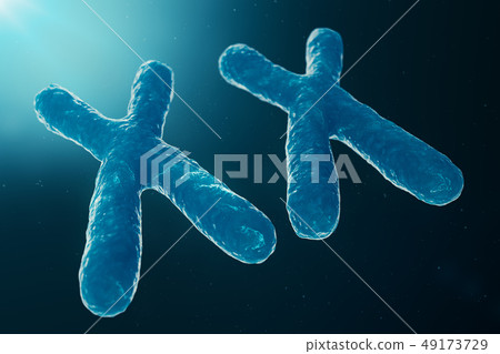 XX-Chromosomes with DNA carrying the genetic code. Genetics concept, medicine concept. Future XX-Chromosomes with DNA carrying the genetic code. Genetics concept, medicine concept. Future 49173729