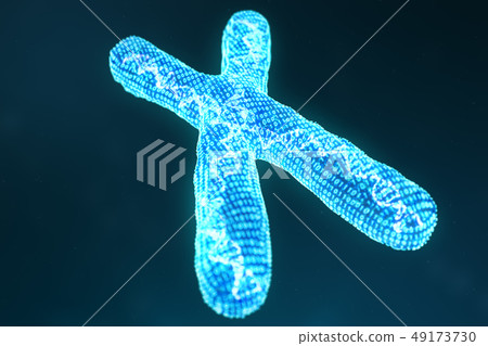X digital, artificial chromosomes with DNA carrying the genetic code. Genetics concept, artificial X digital, artificial chromosomes with DNA carrying the genetic code. Genetics concept, artificial 49173730