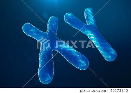 XY-Chromosomes with DNA carrying the genetic code. Genetics concept, medicine concept. Future XY-Chromosomes with DNA carrying the genetic code. Genetics concept, medicine concept. Future 49173840