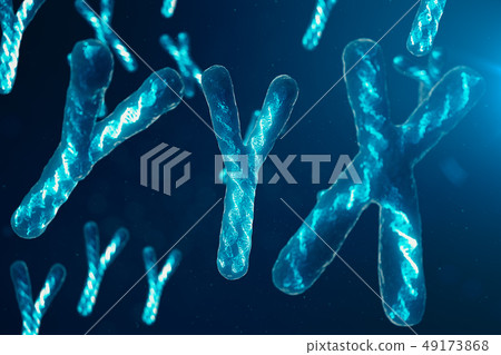 YYX-Chromosomes with DNA carrying the genetic code. Genetics concept, medicine concept. Future 49173868