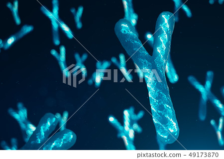 Y-Chromosomes with DNA carrying the genetic code. Genetics concept, medicine concept. Future 49173870