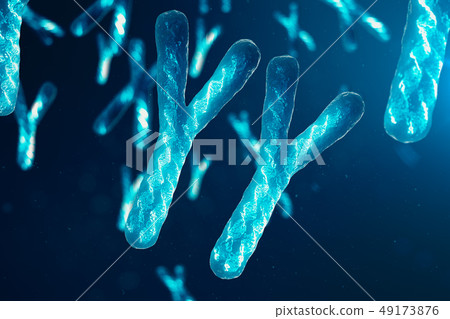 Yy Chromosomes With Dna Carrying The Genetic Stock Illustration