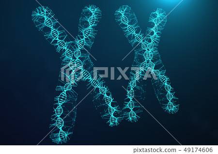 Polygonal Low poly 3D Rendering Digital Artificial Chromosomes Consisting Of Consisting Dots And 49174606