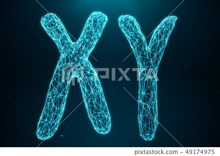 3D Illustration Polygonal Low poly Digital Artificial XY-Chromosomes Consisting Of Consisting Dots 3D Illustration Polygonal Low poly Digital Artificial XY-Chromosomes Consisting Of Consisting Dots 49174975