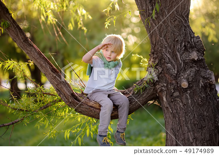 Little boy sits on a branch of tree and looks into 49174989