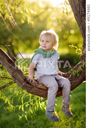 Little boy is sitting on a branch of tree and is 49174991