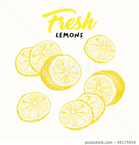 Fresh lemons sketch illustration 49175059